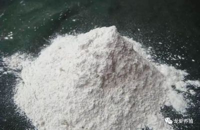 养殖常用的生石灰，你真了解吗？有哪些好处和禁忌？